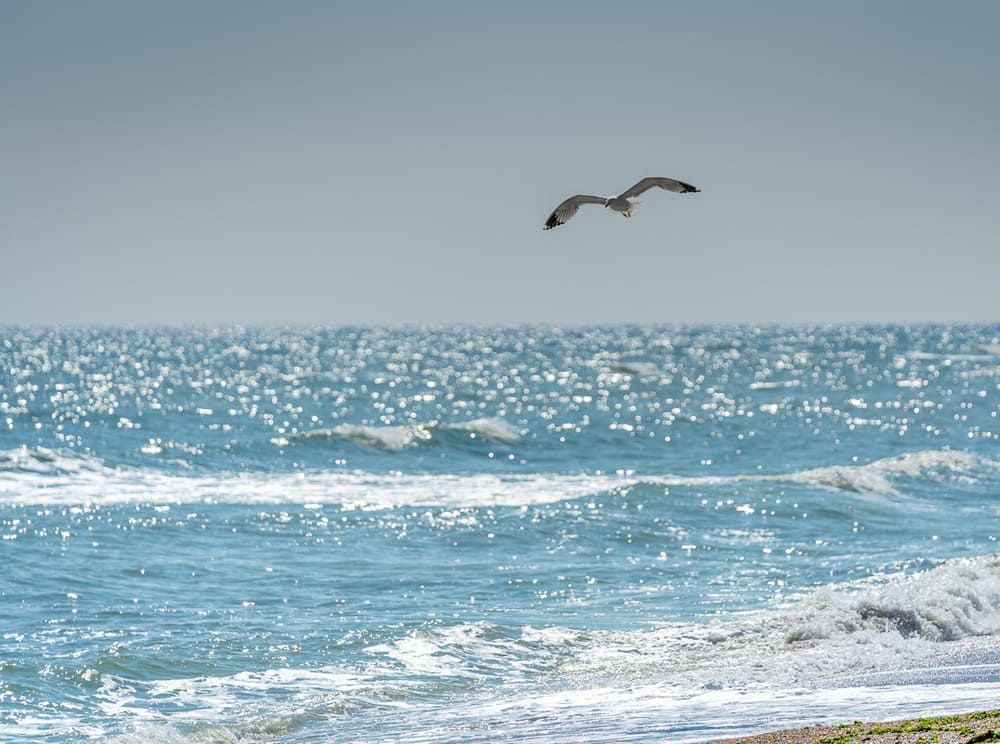 Afiș Excursie la Mare